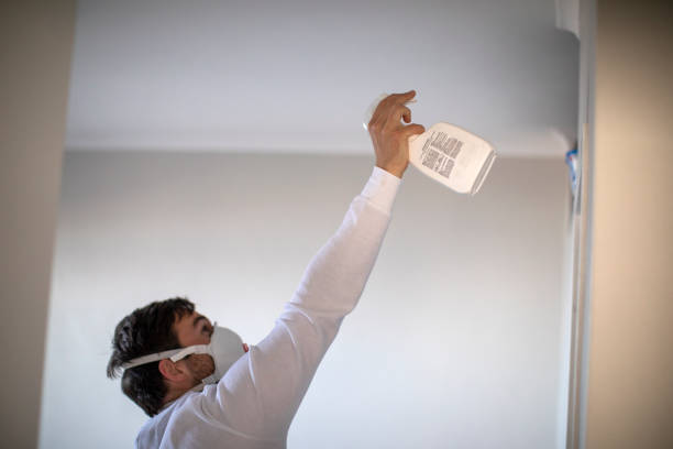 Best Residential Mold Removal  in Indian Hills, NM